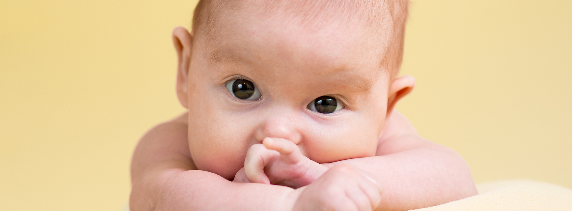 הדרכה לאחר לידה הדרכה לאחר לידה